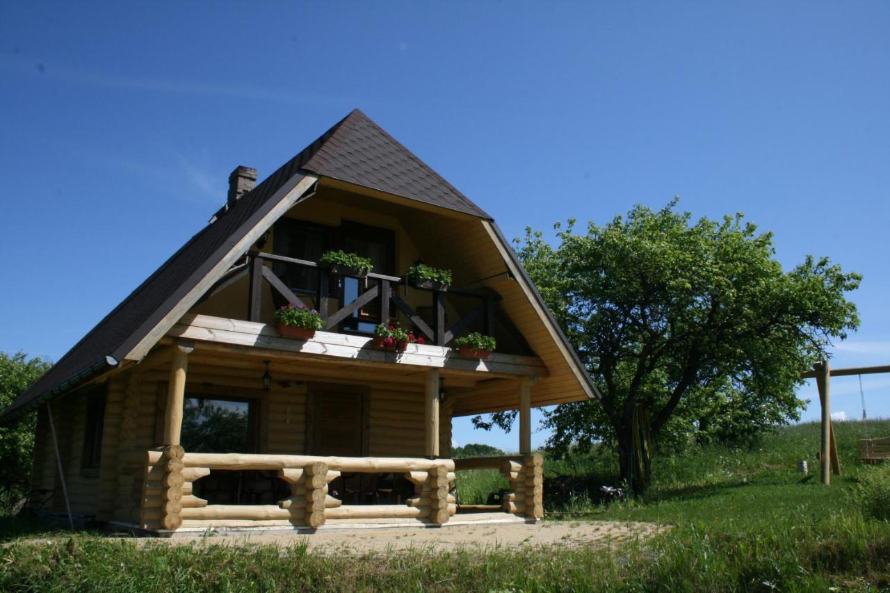 Dikisi Villa Daugavpils Exteriör bild