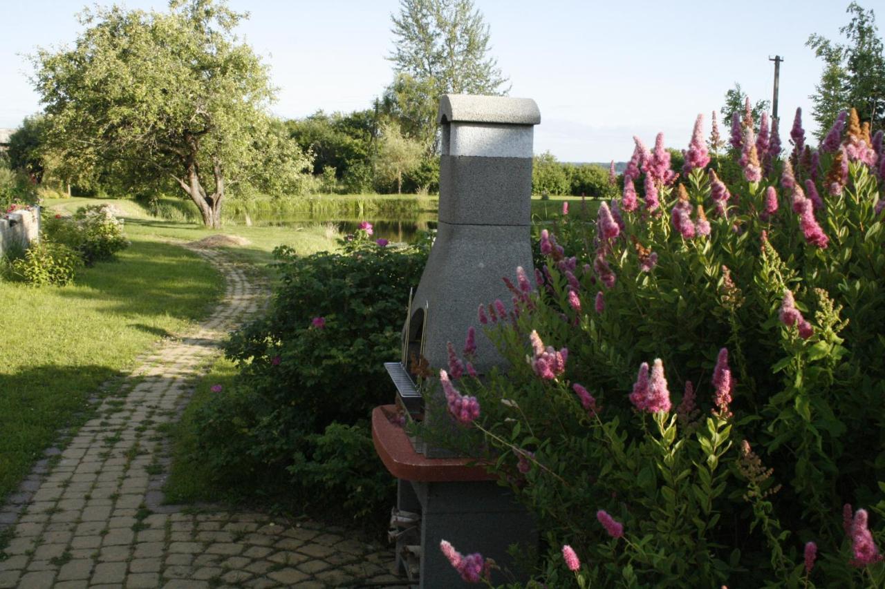 Dikisi Villa Daugavpils Exteriör bild