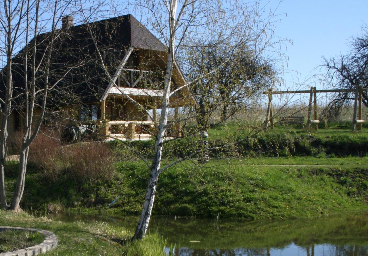 Dikisi Villa Daugavpils Exteriör bild